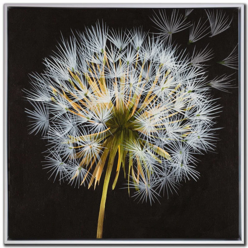 Dandelion Wall Art - White/Black - 33 X 33